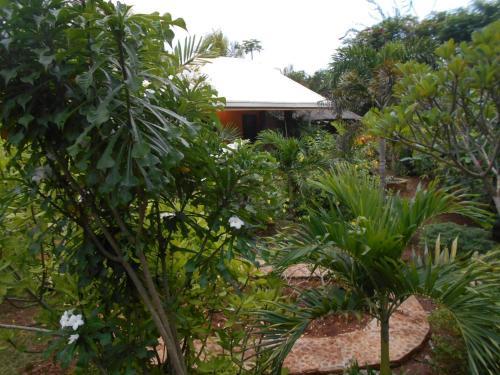 Hostal Jungle Flower Guest House