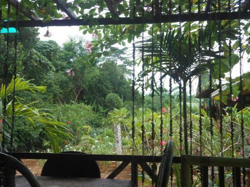 Hostal Jungle Flower Guest House