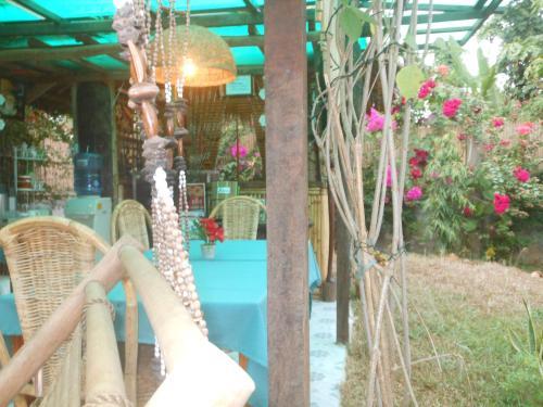 Hostal Jungle Flower Guest House