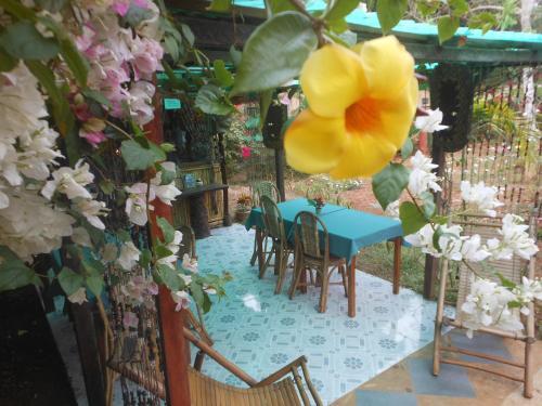 Hostal Jungle Flower Guest House