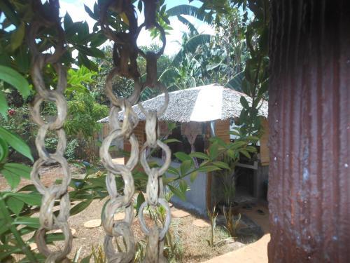 Hostal Jungle Flower Guest House