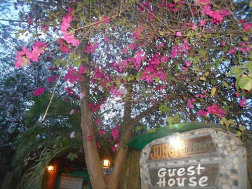 Hostal Jungle Flower Guest House