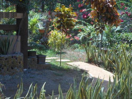 Hostal Jungle Flower Guest House