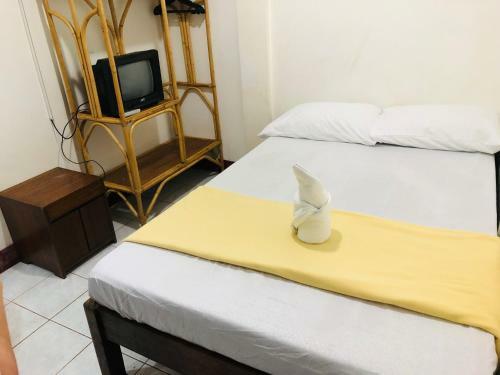 Posada Matutina Pensionne