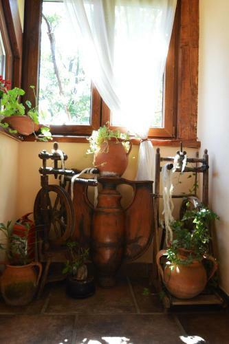Hostal Arts And Crafts Guesthouse