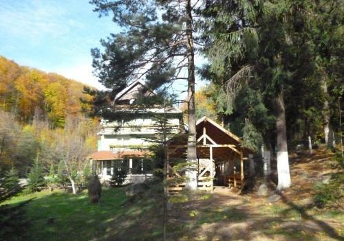 Hostal Pensiunea Limpedea