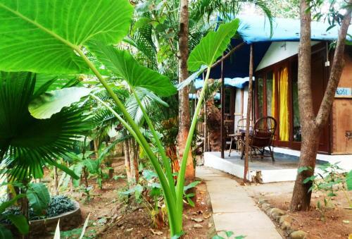 Hostal Secret Garden Resort