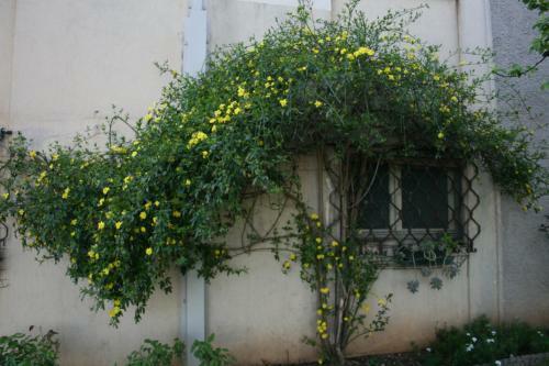 B&B Il Glicine