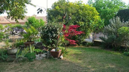 B&B Il Glicine