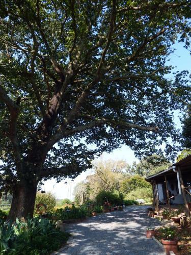 Agroturismo Crossroads Meander