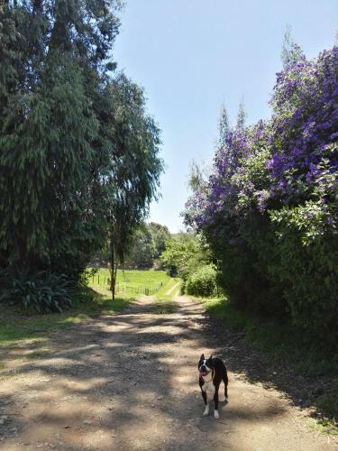 Agroturismo Crossroads Meander