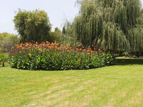 Bed & Breakfast Villa Sardinia Guest House