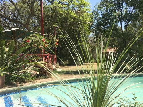 Bed & Breakfast Roosters Nest Bnb