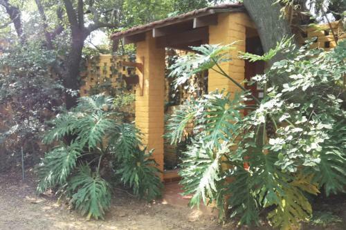 Bed & Breakfast Roosters Nest Bnb