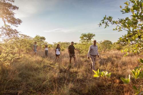 Lodge Lejwe La Metsi Private Reserve