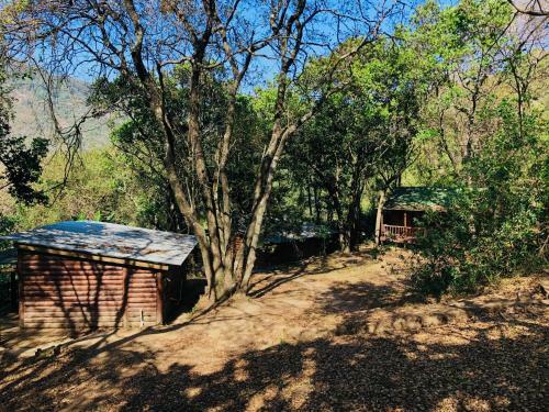 Magoebaskloof Forest Cottage