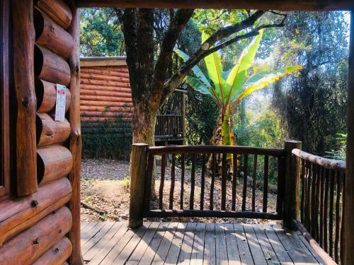 Magoebaskloof Forest Cottage