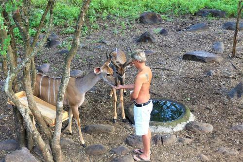 Apartamento Kruger Kumba - Lahlekile Nathi