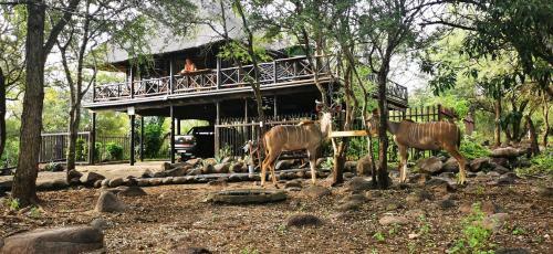 Apartamento Kruger Kumba - Lahlekile Nathi