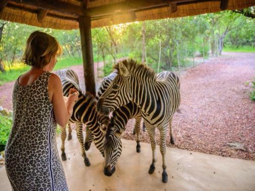 Apartamento Marloth Park Giraffe's Bush Villa