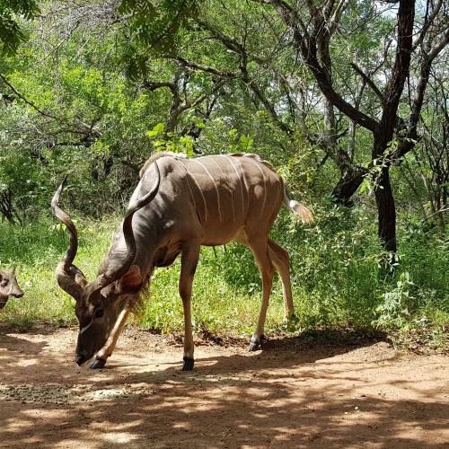Villa Matumi Self Catering