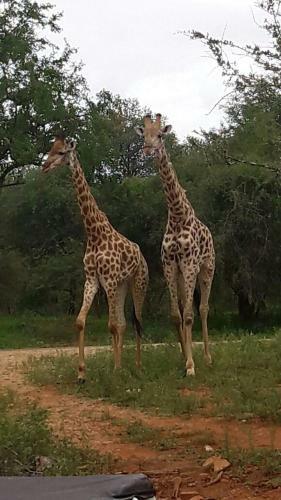 Villa Matumi Self Catering