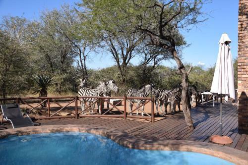 Villa Khumbula Iafrica 2
