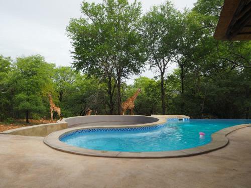 Villa Pata Pata House