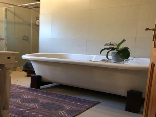 Apartamento Bush Cottage