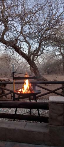 Guinea Fowl Cabanas Marloth Park