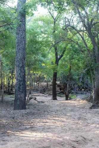 Apartamento Hello Kruger Hideaway Cottage