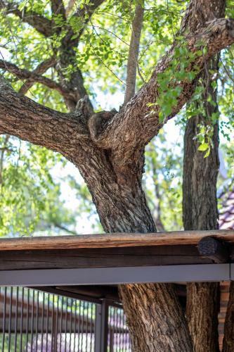 Apartamento Hello Kruger Hideaway Cottage