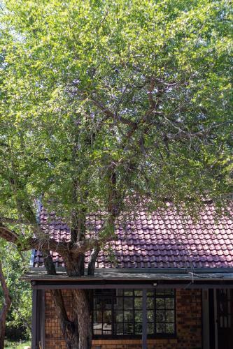 Apartamento Hello Kruger Hideaway Cottage
