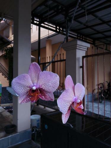 Anggrek Homestay Banjarmasin