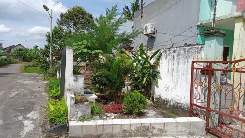 Hostal Maria Guest House