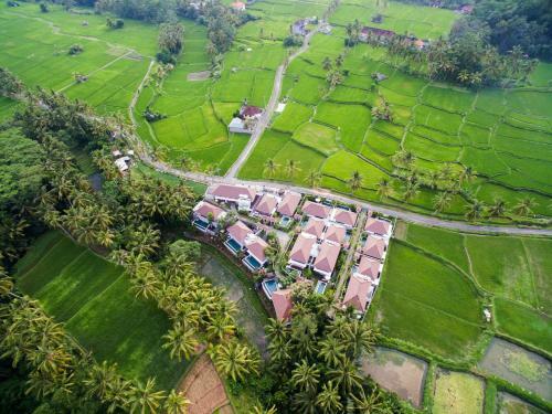 Lodge Bidadari Tegalalang Ubud II