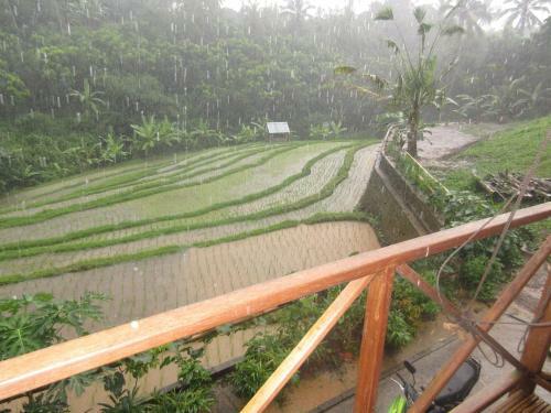 Lodge Babahan Farmstay