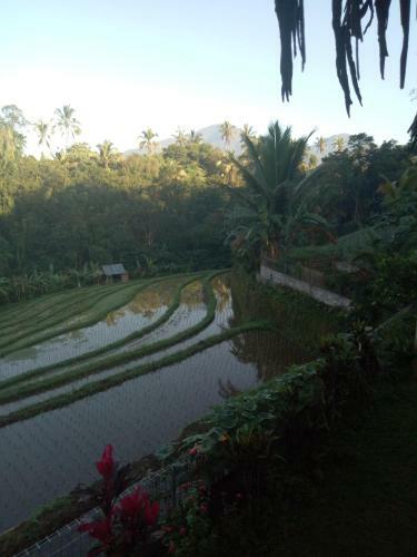 Lodge Babahan Farmstay