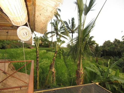 Lodge Babahan Farmstay