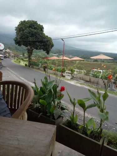 Lodge Babahan Farmstay