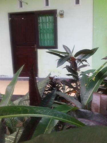 Umah Hijau Tabanan