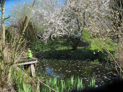 Natur Pur, Nah Am Schaalsee