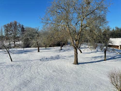 Natur Pur, Nah Am Schaalsee