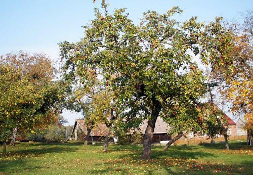 Natur Pur, Nah Am Schaalsee