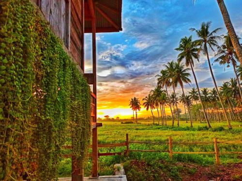 Hostal Sunset Cottages