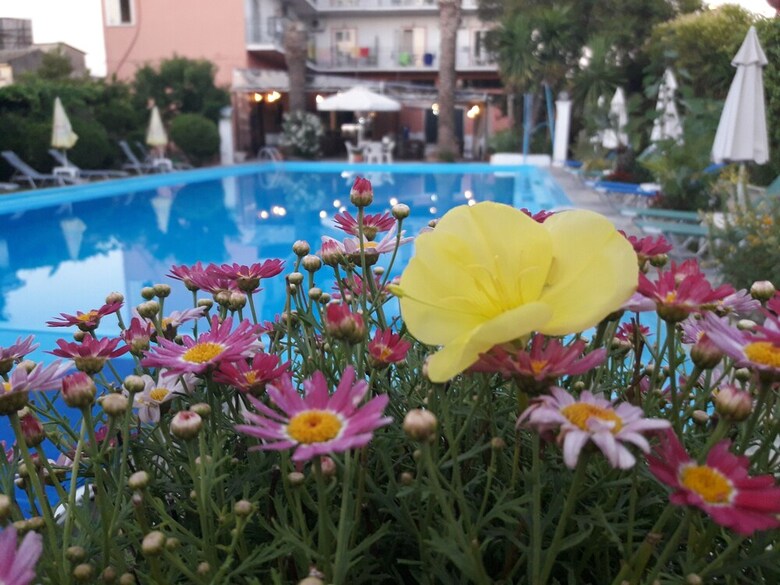 Hotel Angela
