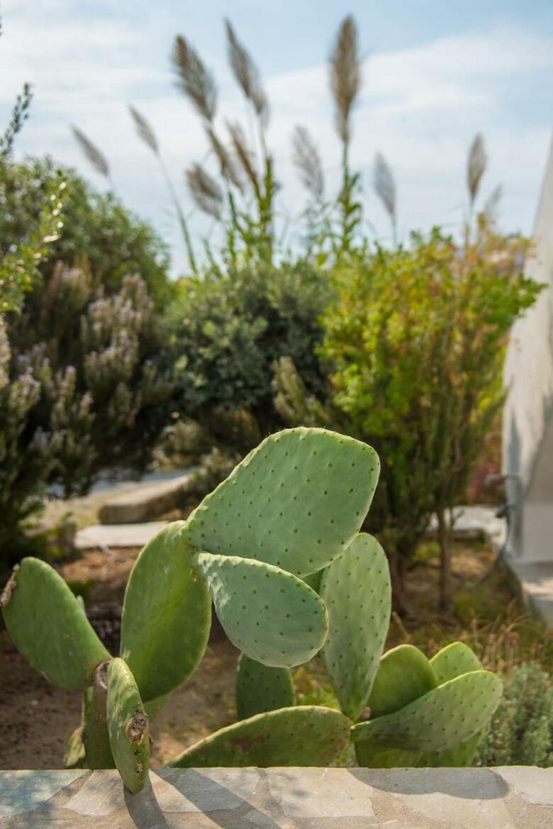 Hotel Vienoula's Garden