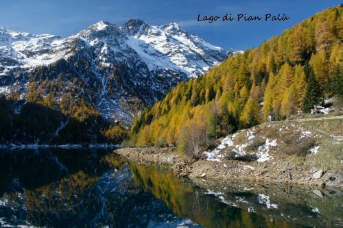Camping Val Di Sole