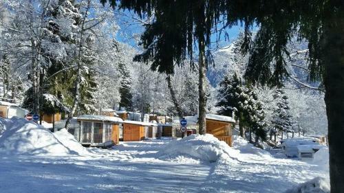Camping Val Di Sole
