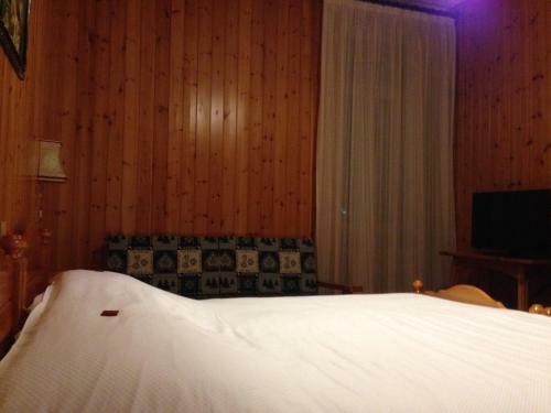 Hotel Vioz